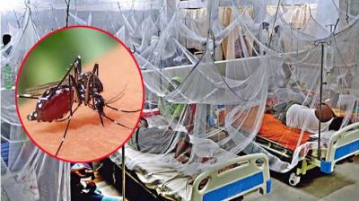 ডেঙ্গুতে আরও একজনের মৃত্যু, হাসপাতালে ভর্তি ৪৭৩