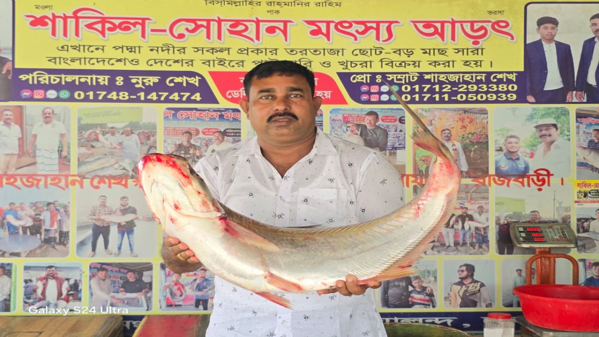 দৌলতদিয়ায় দুষ্প্রাপ্য ঢাই মাছ  ৫৮ হাজার ৩০০ টাকায় বিক্রি