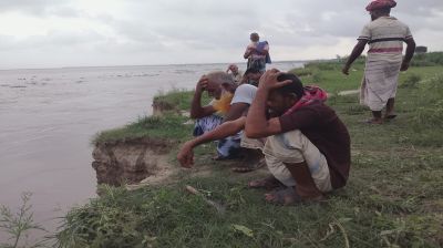 দৌলতপুরে পদ্মার ভাঙনে বিলীন শত শত বিঘা জমি