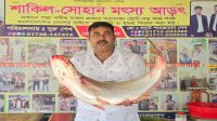 দৌলতদিয়ায় দুষ্প্রাপ্য ঢাই মাছ  ৫৮ হাজার ৩০০ টাকায় বিক্রি
