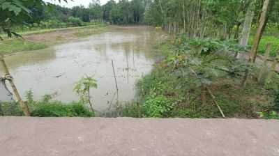 কিশোরগঞ্জে কালভার্ট বন্ধ করে  বিএনপি নেতার মাছ চাষ