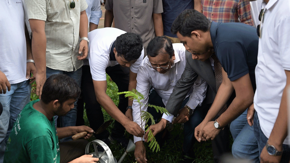 ঢাকা বিশ্ববিদ্যালয় ক্যাম্পাসে ডিএসসিসি’র বৃক্ষরোপণ কর্মসূচি