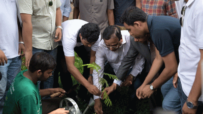 ঢাকা বিশ্ববিদ্যালয় ক্যাম্পাসে ডিএসসিসি’র বৃক্ষরোপণ কর্মসূচি