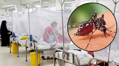 ২৪ ঘণ্টায় ডেঙ্গুতে ৩ মৃত্যু, আক্রান্ত ৫৮০