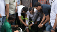 ঢাকা বিশ্ববিদ্যালয় ক্যাম্পাসে ডিএসসিসি’র বৃক্ষরোপণ কর্মসূচি