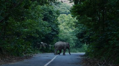 বর্ষায় ঘুরে আসুন বৃষ্টিভেজা গারো পাহাড়ে