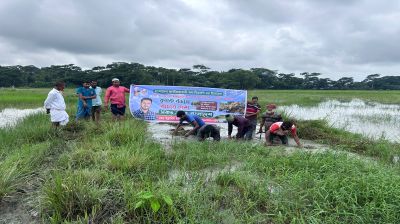 বাউফলে খাল পরিষ্কার অভিযান   স্বস্তিতে চার গ্রামের কৃষক