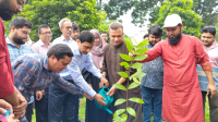 রুয়েটে যথাযোগ্য মর্যাদায় জুলাই   গণঅভ্যুত্থান দিবস পালিত