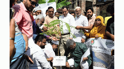 কামরাঙ্গীরচরে ১০ হাজার বৃক্ষরোপণ কর্মসূচির উদ্বোধন
