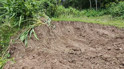 পরশুরামে চর কেটে ইটভাটায় মাটি উত্তোলনের অভিযোগ