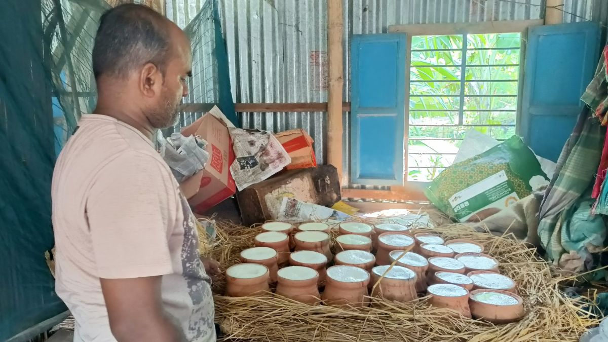 বিদেশে লোকসান, দেশে ফিরে   নাসিরের দইয়ে বাজিমাত