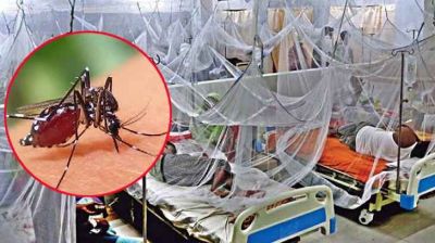 ডেঙ্গুতে আরও ৩ জনের মৃত্যু, আক্রান্ত ৯৯৪