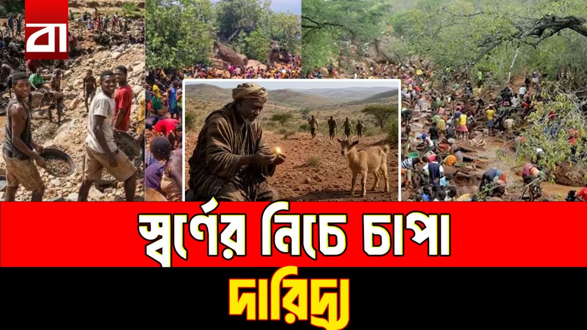ছাগল খুঁজতে গিয়ে মিলল সোনার খনি