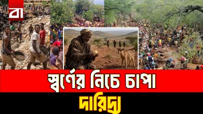 ছাগল খুঁজতে গিয়ে মিলল সোনার খনি
