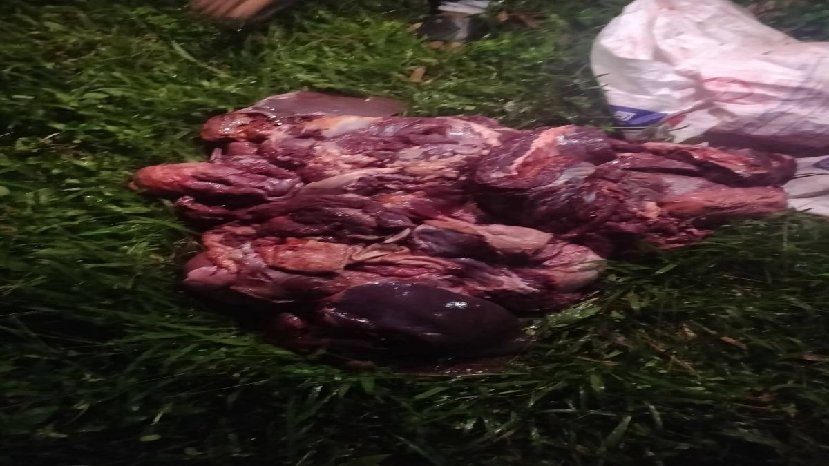 ঝিনাইগাতীতে জবাই করা ৩টি ঘোড়ার মাংস জব্দ