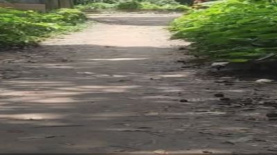 সিংগাইরে অস্তিত্বহীন রাস্তার  নামে প্রকল্প