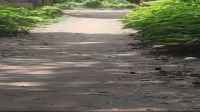 সিংগাইরে অস্তিত্বহীন রাস্তার  নামে প্রকল্প