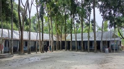 অনিয়মের আখড়া লক্ষিচাপ দারুস   সুন্নত দাখিল মাদরাসা