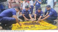 বগুড়ায় ড্রেন সংস্কারের সময়  মিলল ৩৩৪ রাউন্ড গুলি
