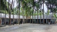 অনিয়মের আখড়া লক্ষিচাপ দারুস   সুন্নত দাখিল মাদরাসা