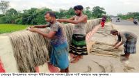 শেরপুরে পাটের দাম ভালো পাওয়ায়   কৃষকের মুখে হাসি