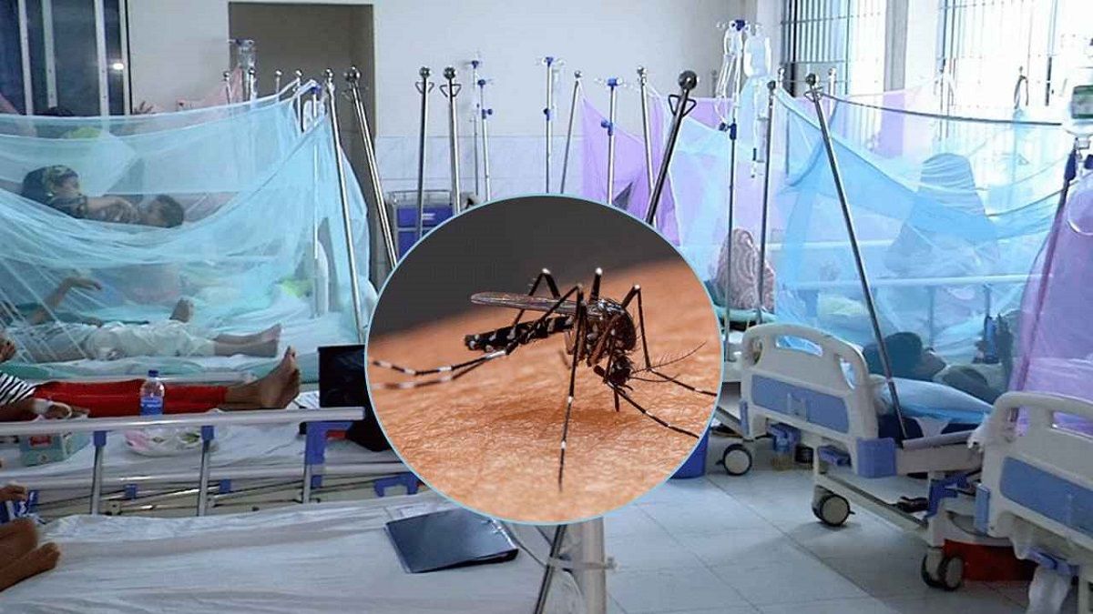 ডেঙ্গুতে আরও ৪ জনের মৃত্যু, হাসপাতালে ১১৬৩