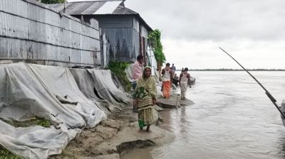 উলিপুরে নদীভাঙনে বসতভিটা হারানোর   শঙ্কায় বিধবা জসদা রানী