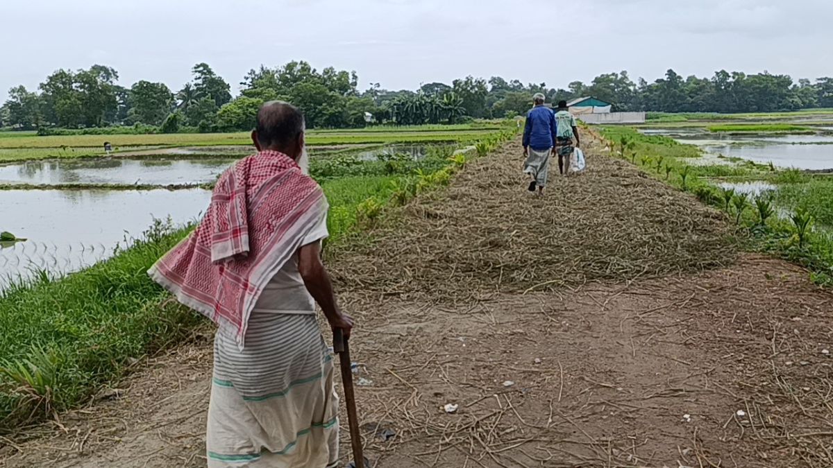 এক সড়কে বদলে গেছে ১৫   গ্রামের মানুষের ভাগ্য