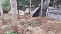 কুষ্টিয়ায় কবর থেকে লাশ   তুলে দরবারে দাফন
