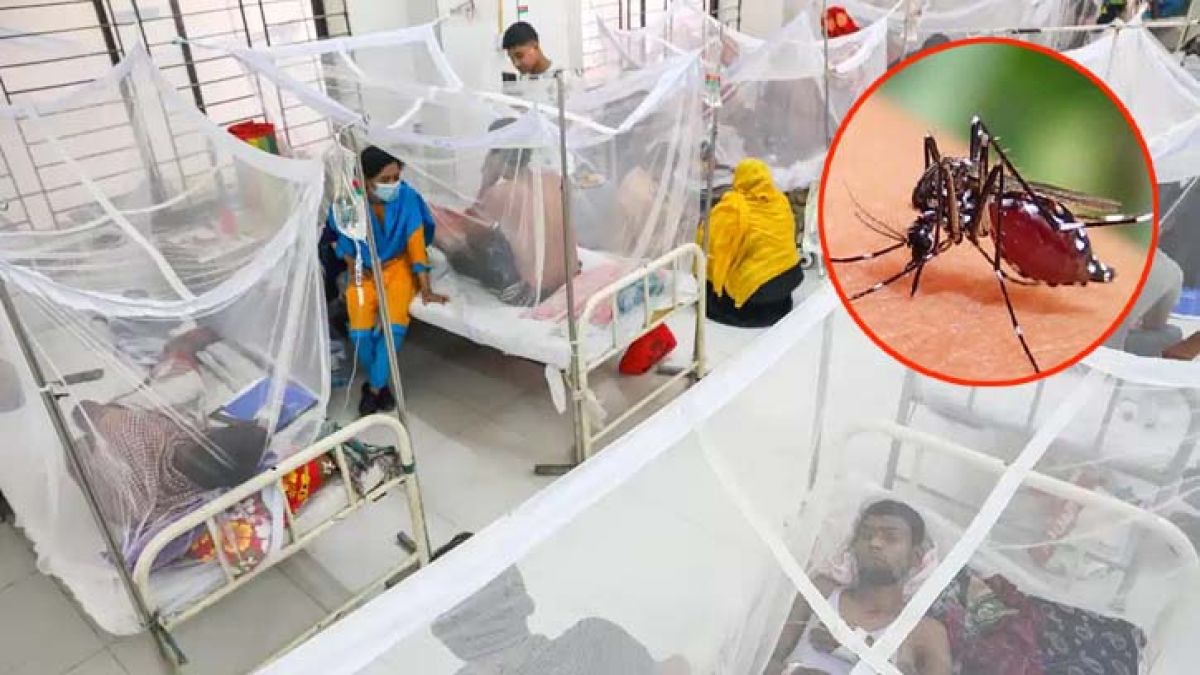 ডেঙ্গুতে ৪ জনের মৃত্যু, হাসপাতালে ভর্তি ১২৩৩