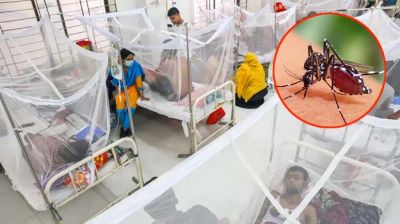 ডেঙ্গুতে ৪ জনের মৃত্যু, হাসপাতালে ভর্তি ১২৩৩