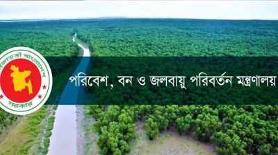 পরিবেশ, বন ও জলবায়ু পরিবর্তন মন্ত্রণালয়ে ১১২ পদে বড় নিয়োগ