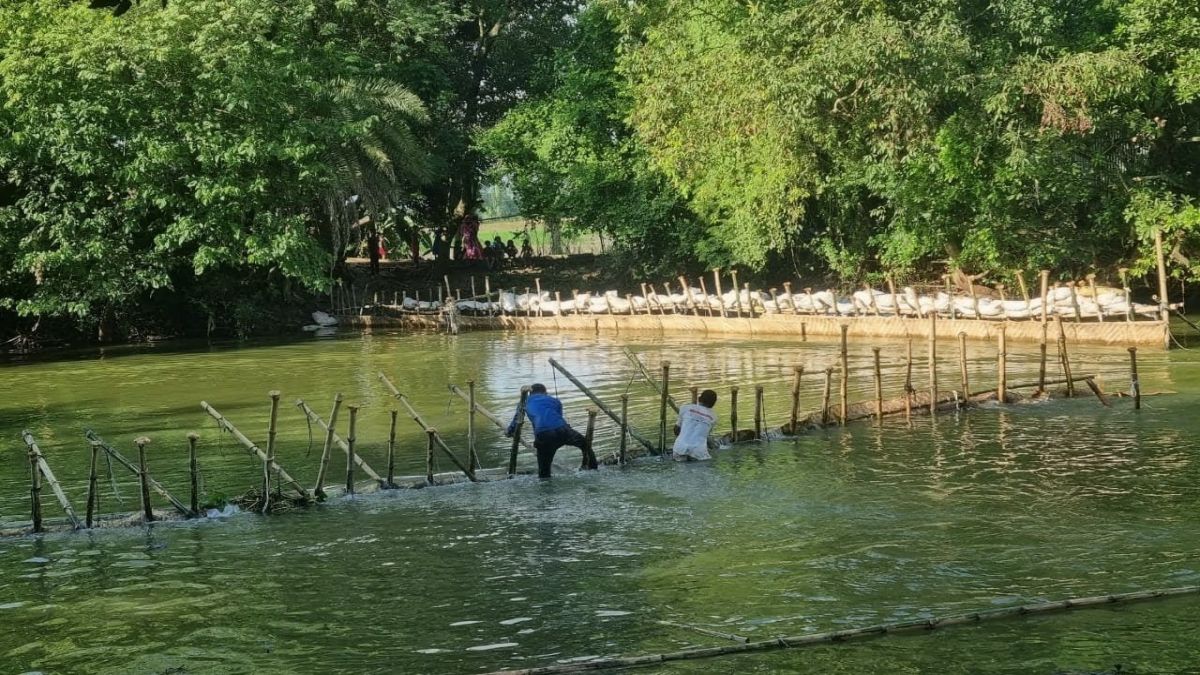 গুরুদাসপুরে কোনোভাবেই থামানো   যা্েনছ না সোঁতিজালের দৌরাত্ম¥্য