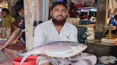 গলাচিপায় নদীতে ধরা পড়ল  আড়াই কেজির রাজা ইলিশ