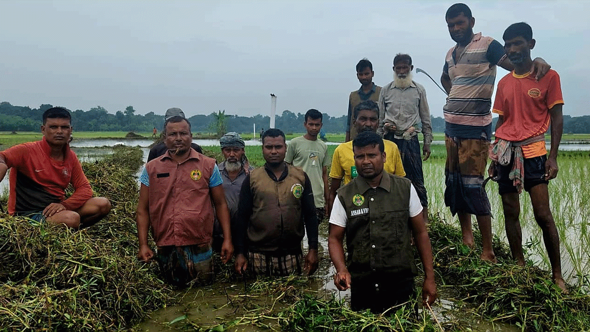 আনসার-ভিডিপির স্বেচ্ছাশ্রমে ৫০০ ফুট খাল পরিষ্কার