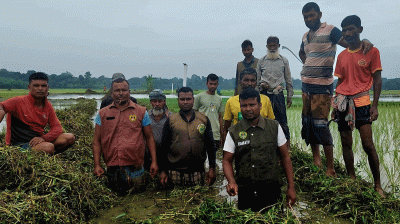 আনসার-ভিডিপির স্বেচ্ছাশ্রমে ৫০০ ফুট খাল পরিষ্কার