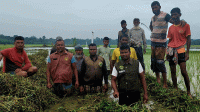 আনসার-ভিডিপির স্বেচ্ছাশ্রমে ৫০০ ফুট খাল পরিষ্কার