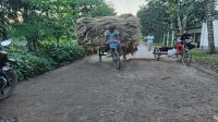 খোকসায় রাস্তা সংস্কারে বিলম্ব   দুর্ভোগ চরমে