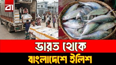 এই প্রথম বাংলাদেশে ইলিশ রপ্তানি করল ভারত, দুই মাসে এল ৫০০ টন