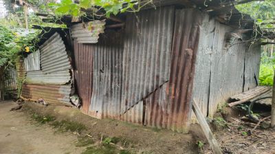 নাটোরে স্বামী-সন্তানহারা বৃদ্ধার   মানবেতর জীবনযাপন