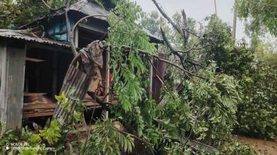 হালুয়াঘাটে হঠাৎ ঝড়ের   তাণ্ডব, লণ্ডভণ্ড ঘরবাড়ি