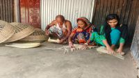 খোকসা হাওর পারে ঐতিহ্য   কুটিরশিল্প বিলুপ্তির পথে