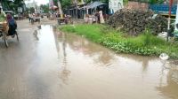 চাটমোহর পৌরসভার সড়কে   জলাবদ্ধতায় জনদুর্ভোগ