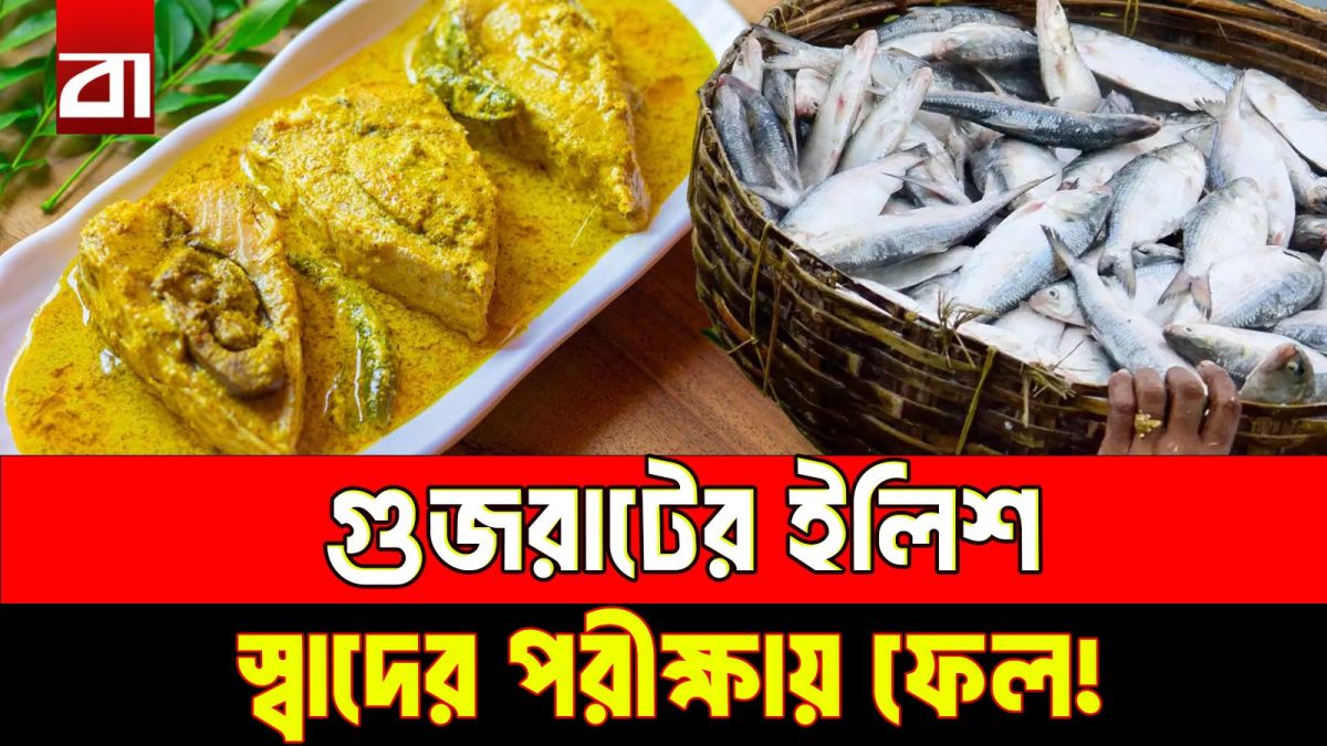 গুজরাটের ইলিশে কেন মুখ ফিরিয়ে নিল বাংলাদেশ? যে কারণে বন্ধ হলো আমদানি