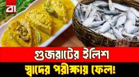 গুজরাটের ইলিশে কেন মুখ ফিরিয়ে নিল বাংলাদেশ? যে কারণে বন্ধ হলো আমদানি