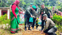 বিভিন্ন জেলায় আনসার-ভিডিপির বৃক্ষরোপণ অভিযান, সবুজায়নের ডাক