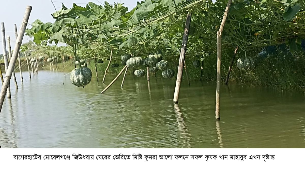 ভালুকার বটতলায় এখনো বসে নরসুন্দরদের হাট