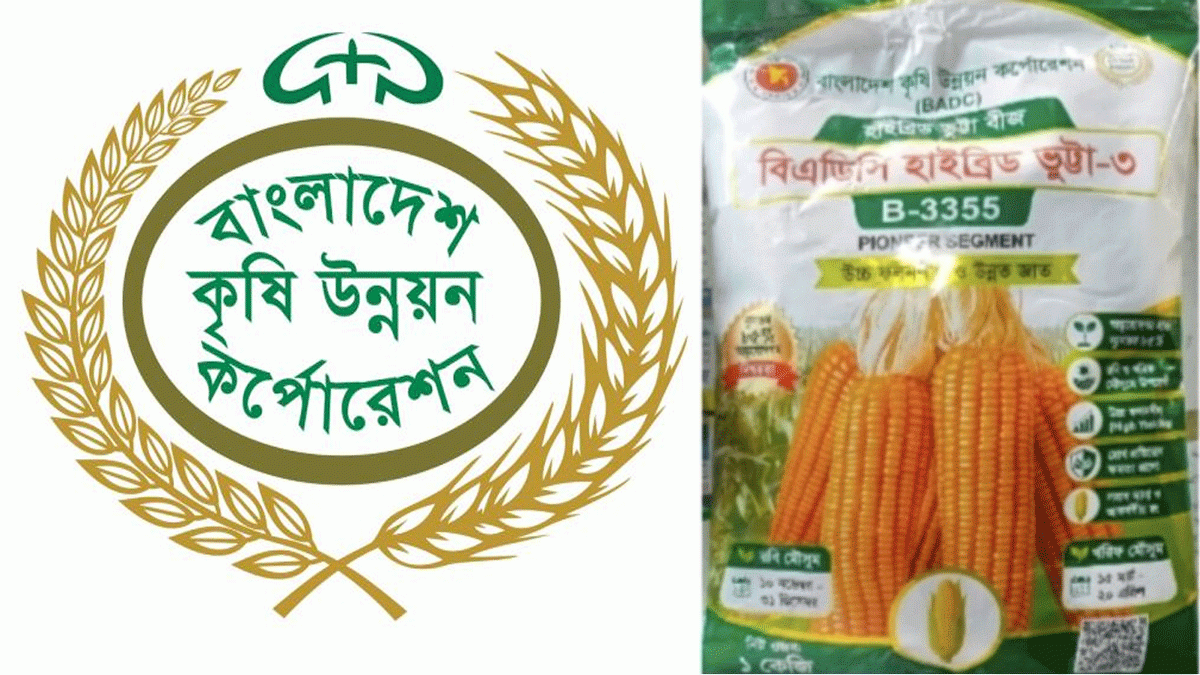বিএডিসির ভুট্টাবীজে ৮৫ টনের হদিস কোথায়?