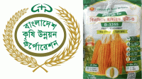 বিএডিসির ভুট্টাবীজে ৮৫ টনের হদিস কোথায়?